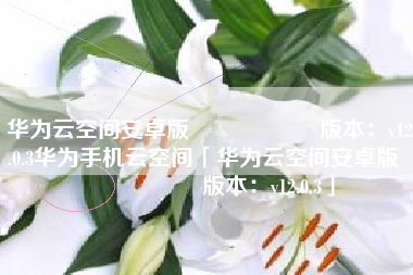 华为云空间安卓版                    版本：v12.0.3华为手机云空间「华为云空间安卓版                    版本：v12.0.3」