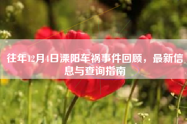 往年12月4日溧阳车祸事件回顾，最新信息与查询指南