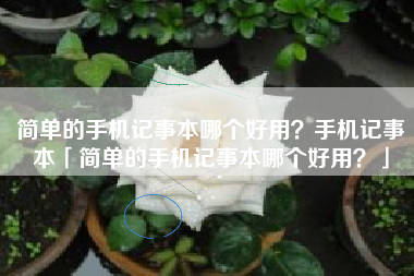 简单的手机记事本哪个好用？手机记事本「简单的手机记事本哪个好用？」