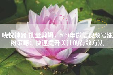 晓悦神器 批量剪辑，2024年微信视频号涨粉策略：快速提升关注的有效方法