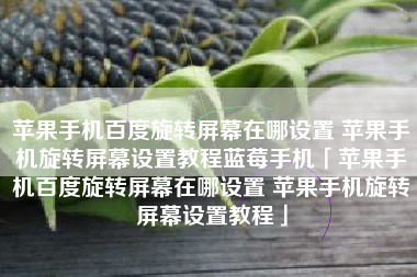 苹果手机百度旋转屏幕在哪设置 苹果手机旋转屏幕设置教程蓝莓手机「苹果手机百度旋转屏幕在哪设置 苹果手机旋转屏幕设置教程」