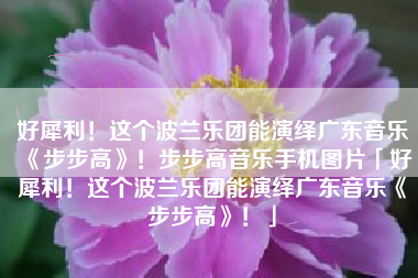 好犀利!这个波兰乐团能演绎广东音乐《步步高》!步步高音乐手机图片「好犀利!这个波兰乐团能演绎广东音乐《步步高》!」 好犀利!这个波兰乐团能演绎广东音乐《步步高》!步步高音乐手机图片「好犀利!这个波兰乐团能演绎广东音乐《步步高》!」