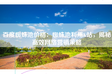 百度蜘蛛池价格:蜘蛛池利用K站,揭秘高效网络营销策略 百度蜘蛛池价格:蜘蛛池利用K站,揭秘高效网络营销策略