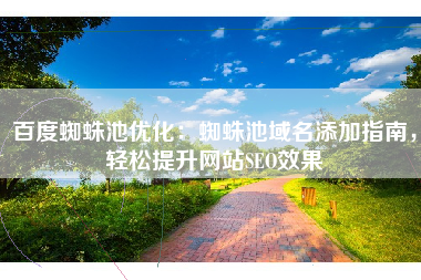 百度蜘蛛池优化：蜘蛛池域名添加指南，轻松提升网站SEO效果