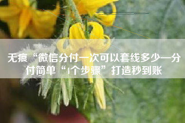 无痕“微信分付一次可以套线多少—分付简单“4个步骤”打造秒到账 无痕“微信分付一次可以套线多少—分付简单“4个步骤”打造秒到账