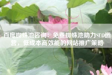 百度蜘蛛池咨询:免费蜘蛛池助力SEO运营,低成本高效能的网站推广策略 百度蜘蛛池咨询:免费蜘蛛池助力SEO运营,低成本高效能的网站推广策略